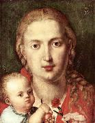 Albrecht Durer The Madonna of the Carnation Spain oil painting artist
